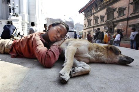 Boy and dog sleeping on the street.