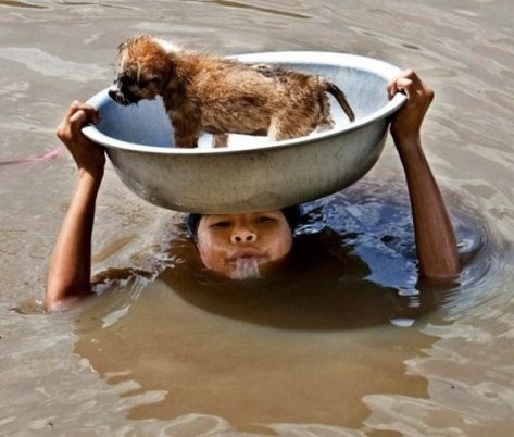 Woman saving dog from the flood